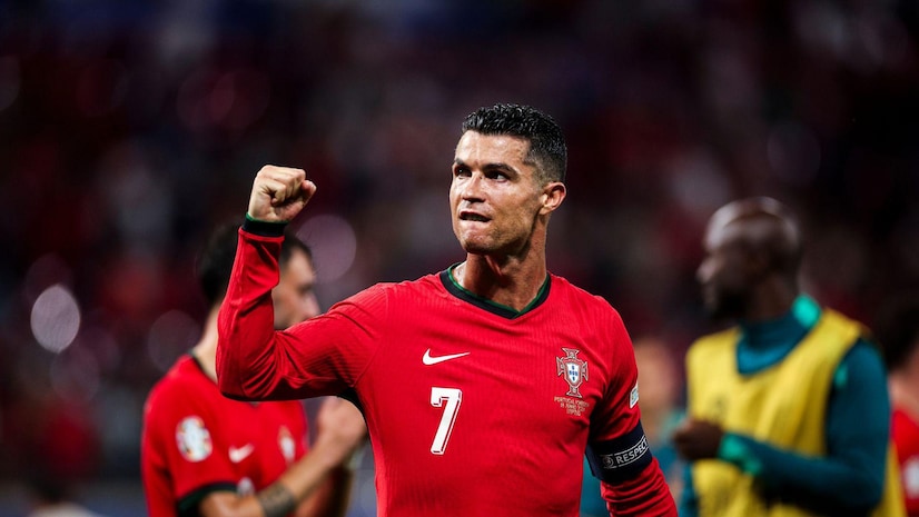 狐狸和蓝狮 狐狸和蓝狮